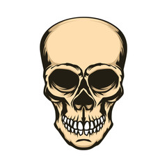 Skull illustration isolated on white background. Design element for logo, label, sign.