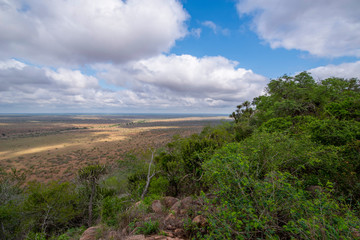 Fototapeta na wymiar Kruger Park South Africa