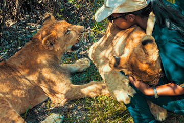 African woman crouching on the ground and snuggling, embracing and hugging 8 month old junior lions...