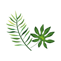 branch with leafs tropical nature isolated icon