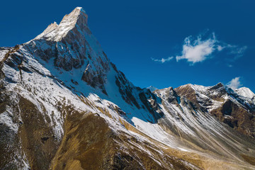 Gangotri National Sanctuary, Uttarakhand, India, Shivling with an elevation of 6543m is a mountain at Tapovan in the Gangotri Group of the Garhwal Himalayas © Rudolf