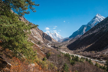 Gangotri National Sanctuary, Uttarakhand, View of the Bhagirathi group in the background with the river Bhagirathi running down the valley