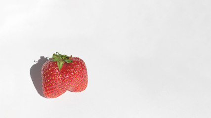 Red strawberry on gray background close-up isolated.