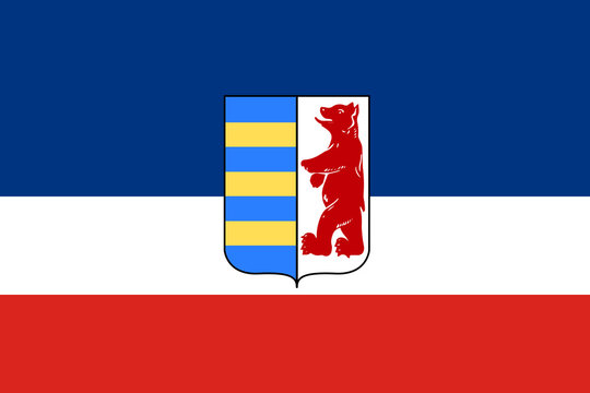 Carpathian Ruthenia Flag In Proportions And Colors Vector