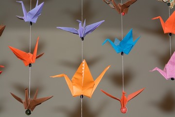 origami crane birds made from color papers