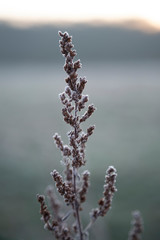 A beautiful silent winter Morning during sunrise