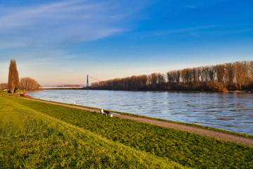 View on Rhine river with dike in Speyer with rhine bridge in background