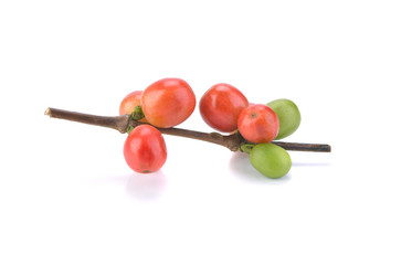 Coffee cherry isolate on white background