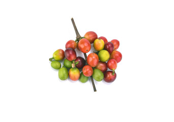 fresh coffee beans with leaf on white background