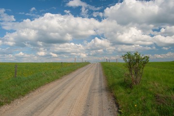 cart track in the meadow with beautiful white clouds on the blue sky