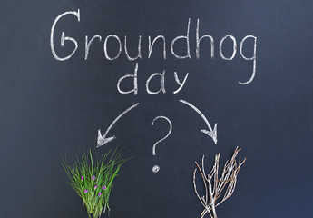 Flat lay: groundhog day text written in chalk on a school blackboard. A bunch of green grass with...