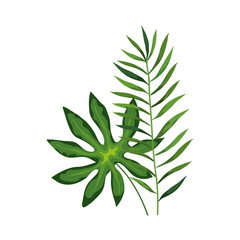 branch with leafs tropical nature isolated icon vector illustration design