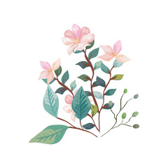 cute flowers with branches and leafs isolated icon vector illustration design