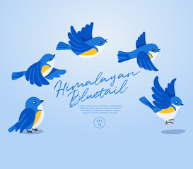 Flying birds collection isolated on pastel background : Vector Illustration