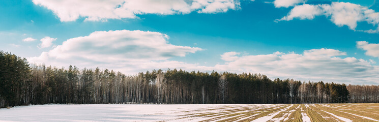 Spring Plowed Field Partly Covered Winter Melting Snow Ready For New Season. Ploughed Field In...