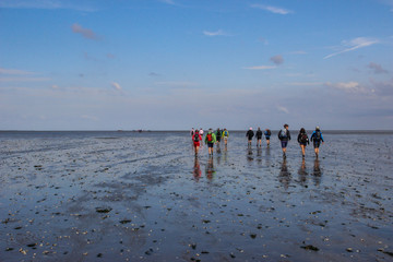  hiking along the bottom of the sea is completely mud at low tide. Traces of tourists feet in the...