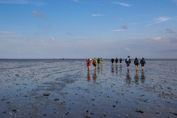  hiking along the bottom of the sea is completely mud at low tide. Traces of tourists feet in the mud at the bottom of the North Sea.