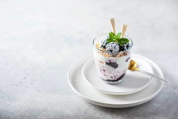 Healthy yogurt with muesli