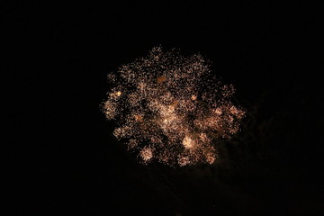 Fireworks in the night