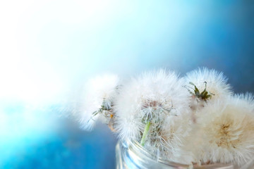 Bouquet of dandelions in glass on blue blurred background.. Springtime banner with copyspace..