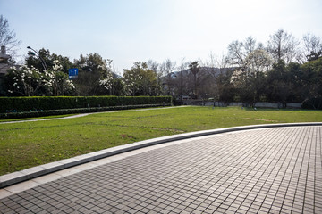 Fototapeta premium road in park