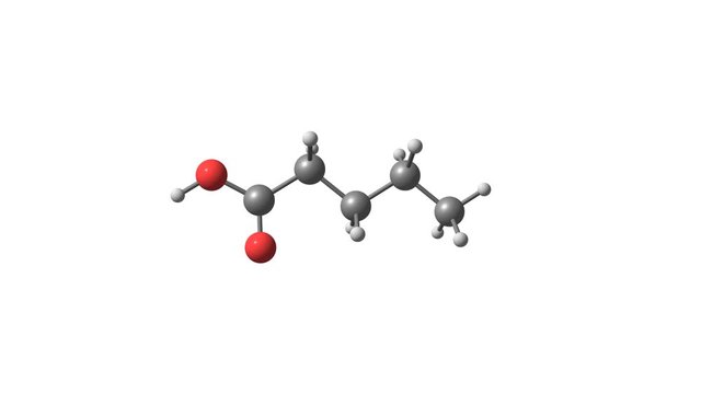 Rotating isolated valeric acid molecule video