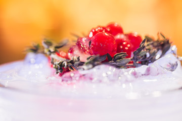 Cocktail with cranberries on the bar