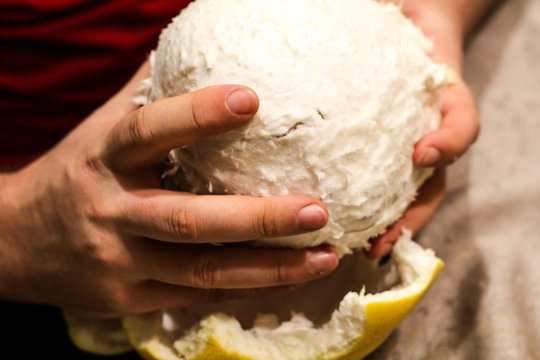 Fruit Pomela in the hands of