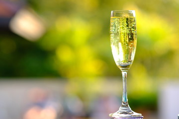 glass of champagne on green background