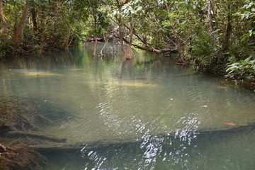 Peaceful Water Before Flowing Over Kuang Si Waterfall, Laos 3