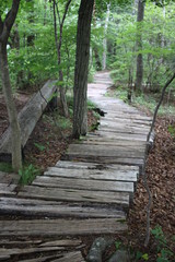 Obraz premium 山道