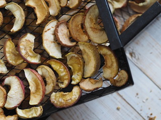 Sliced apples are dried on a metal wire rack from a home dryer.