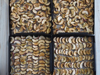 Sliced apples are dried on a metal wire rack from a home dryer.