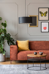 Eclectic living room interior with comfortable velvet corner sofa with pillows
