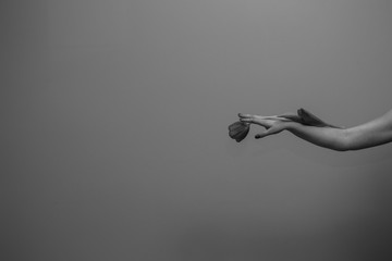 Fototapeta na wymiar Black and white photo of woman's hand with tulip branch