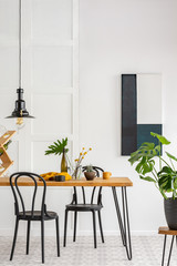 Elegant dining room interior with black wooden chairs and green plants