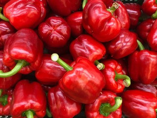 Red paprika pepper