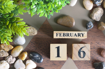 February 16, Number cube design in natural concept.
