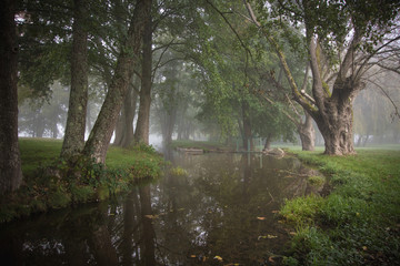cours d'eau par temps de brouillard