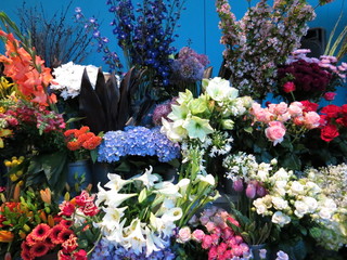 Various spring flowers