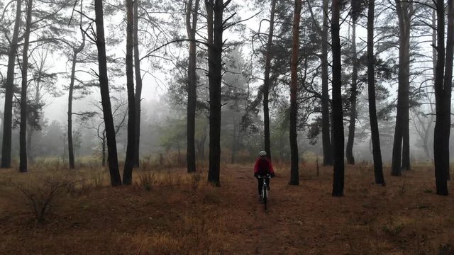 Woman riding a bike through the foggy dark pine tree forest