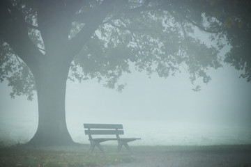 Fototapeta na wymiar banc dans le brouillard le matin