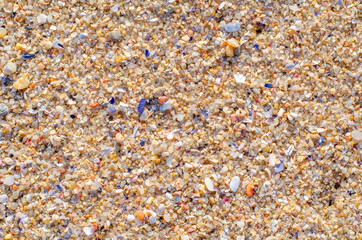 Background texture of sand, small stones and shells. Beach on the ocean coast in Portugal.