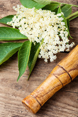 Elderberry flowers on a wooden table