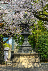 Traditional stone lantern with cherry flowers