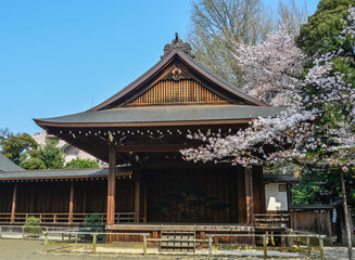 Ancient temple with cherry blossom
