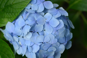 visiting the waterfalls and levadas of Madeira, Portugal