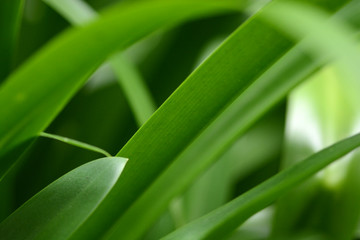 visiting the waterfalls and levadas of Madeira, Portugal