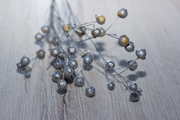 dried grass seeds on wooden background