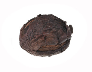 walnut isolated on white background